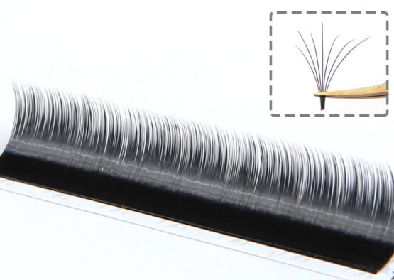 camellia-easyfan-eyelash-extensions